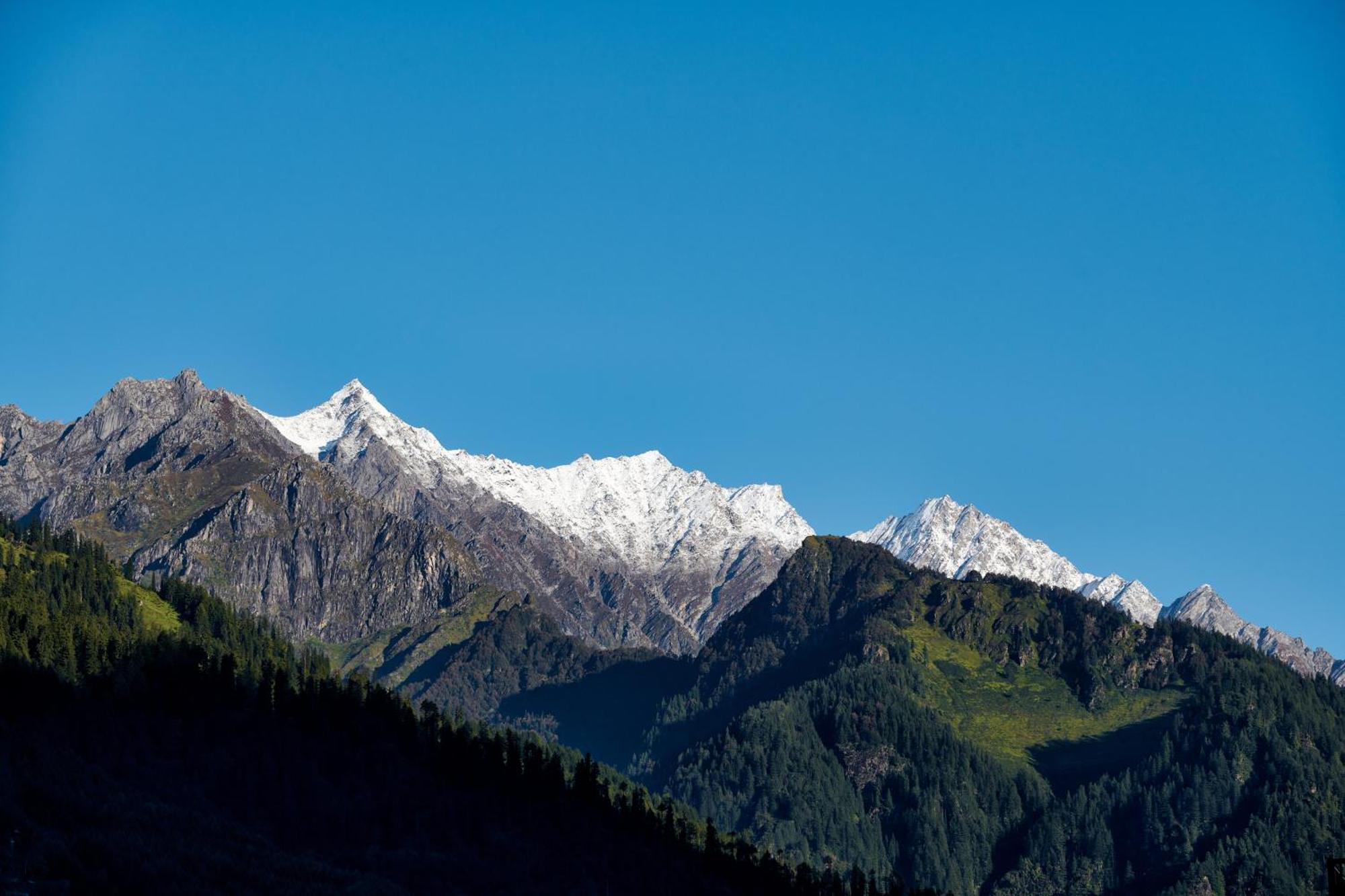 Warehouse Suites And Loft - Manali (Himachal Pradesh) — Photos 3